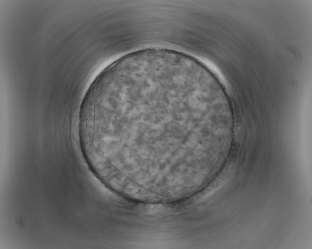 X0000113250903200910081316