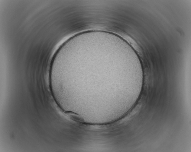 X0000113250904200910081316