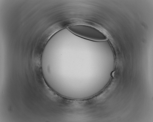 X0000113250905200910081316