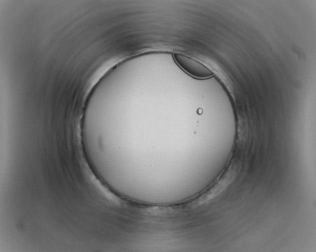 X0000113250906200910081316