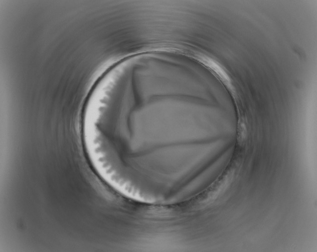 X0000113250907200910081316