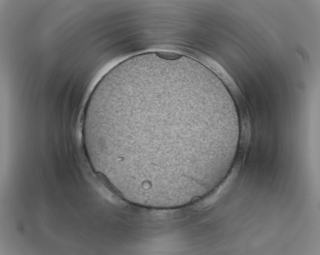 X0000113250908200910081316