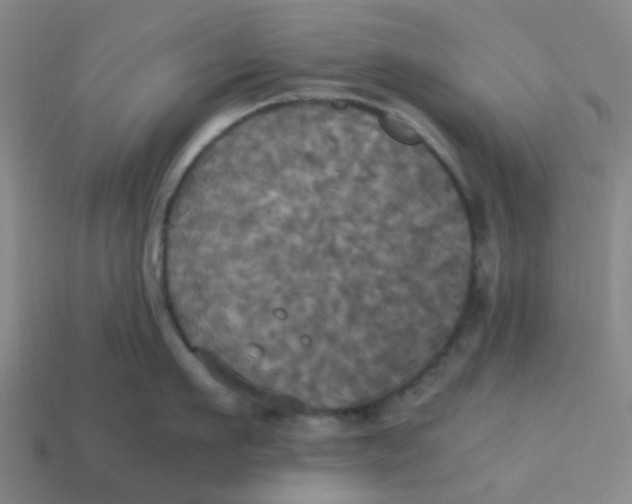 X0000113250911200910081316