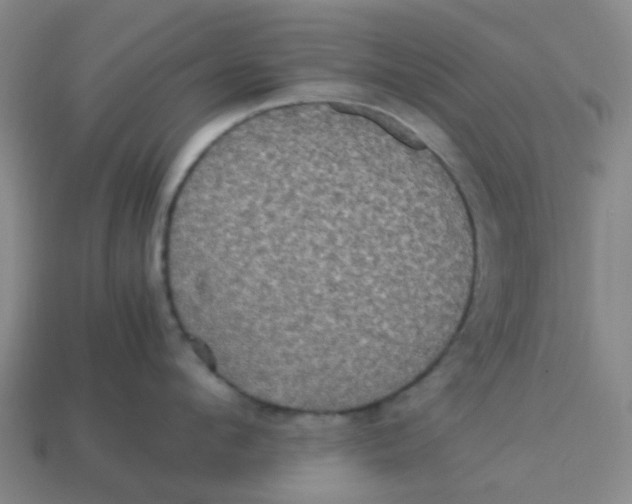 X0000113250912200910081316