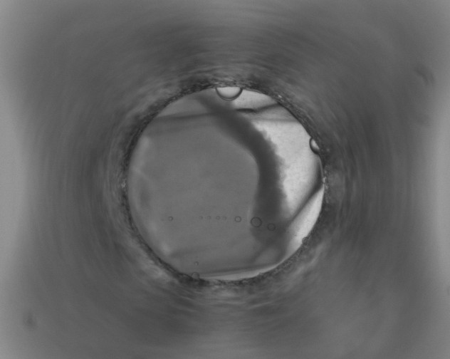 X0000113250913200910081315