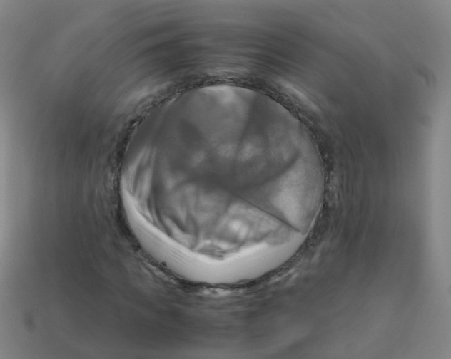 X0000113250917200910081315