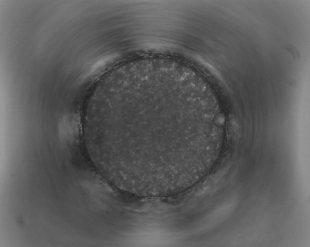 X0000113250918200910081315