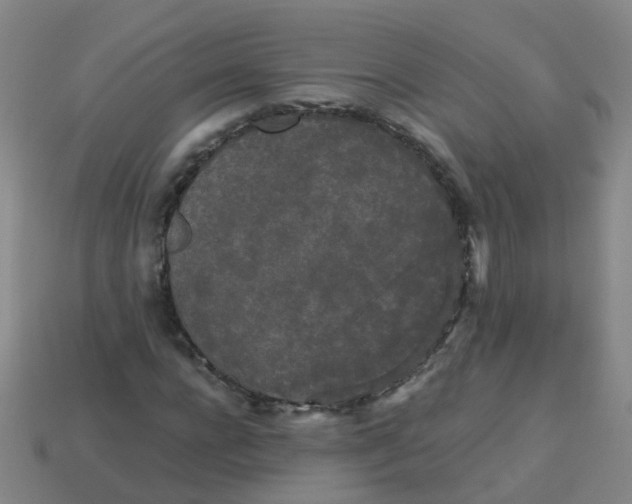 X0000113250920200910081315