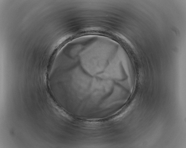 X0000113250921200910081315