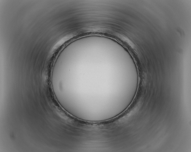 X0000113250922200910081315