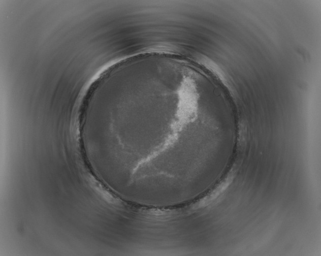 X0000113250923200910081315