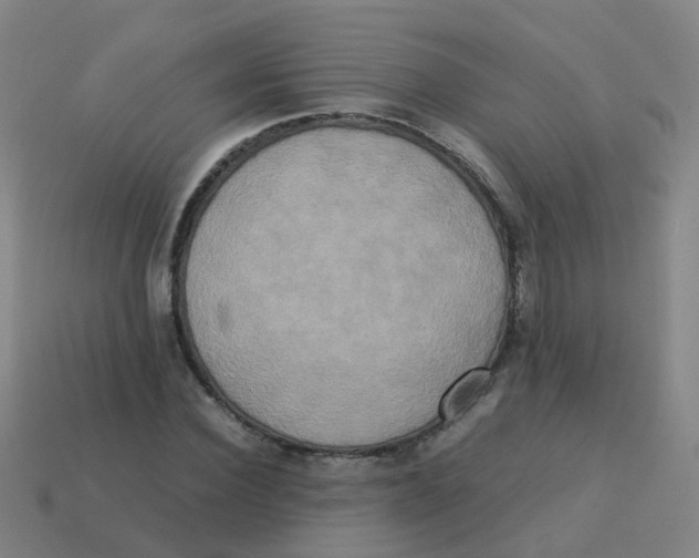 X0000113250924200910081315