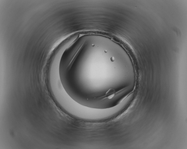 X0000113250925200910081315