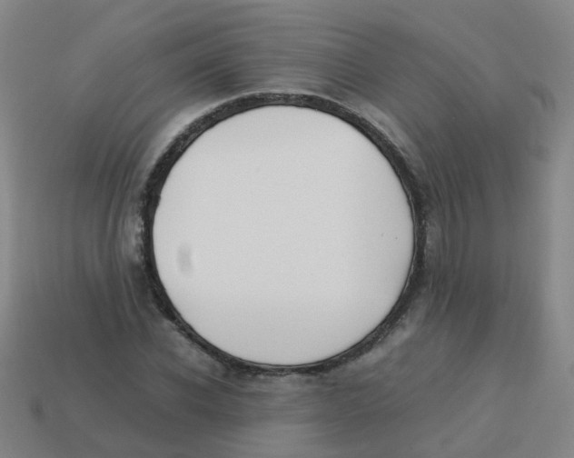 X0000113250926200910081315