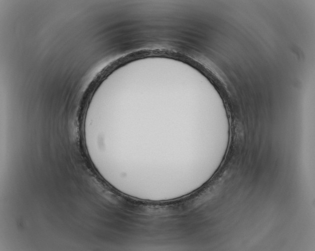 X0000113250927200910081315