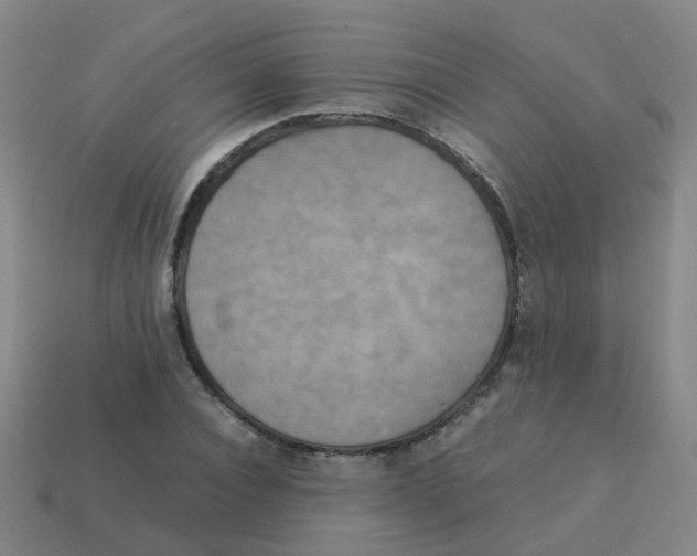 X0000113250928200910081315