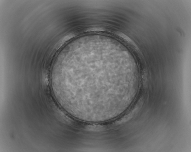 X0000113250929200910081315