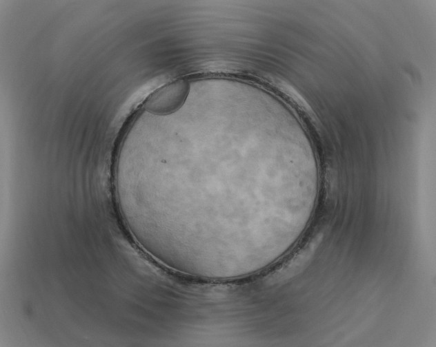 X0000113250930200910081315