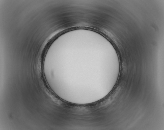 X0000113250931200910081316