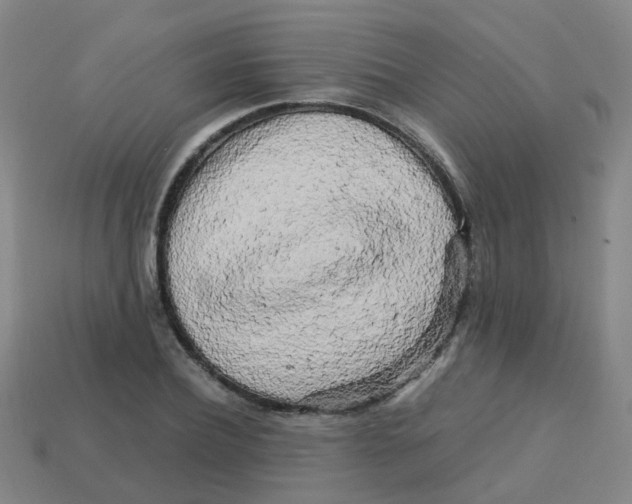 X0000113250932200910081316