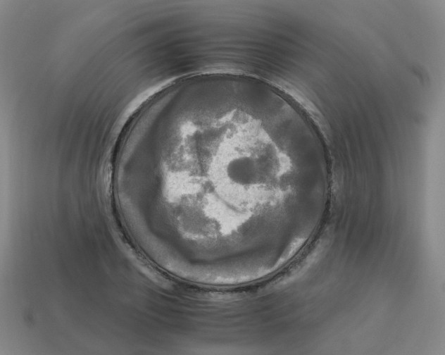 X0000113250933200910081316