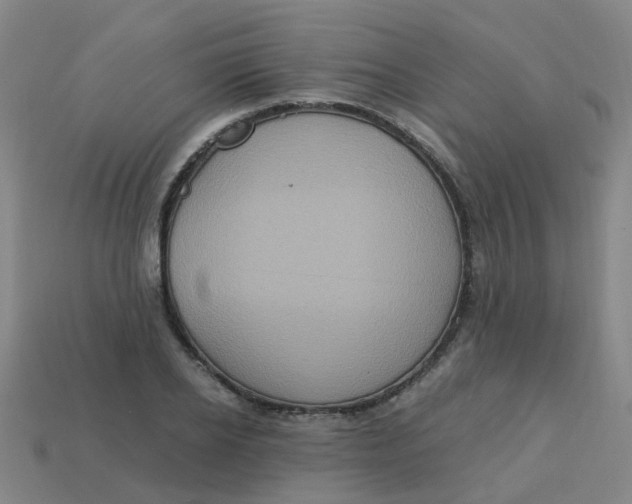 X0000113250934200910081316