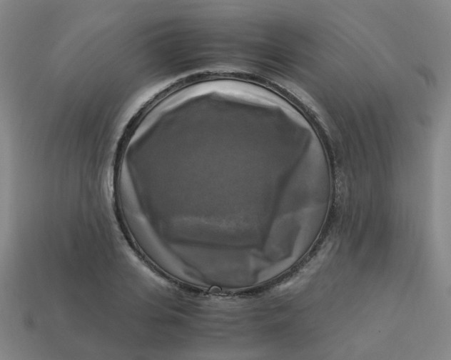 X0000113250935200910081316