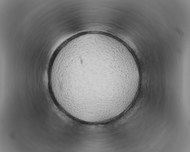 X0000113250936200910081316