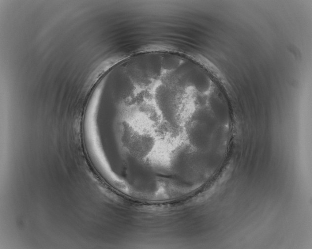 X0000113250937200910081316