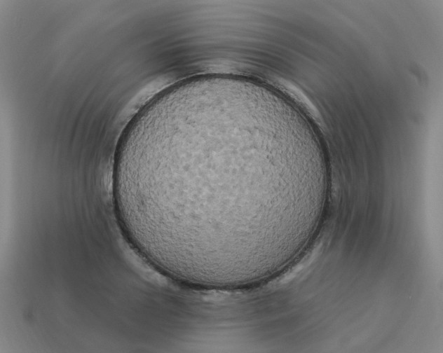 X0000113250938200910081316