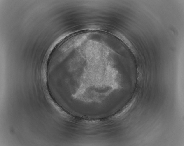 X0000113250939200910081316