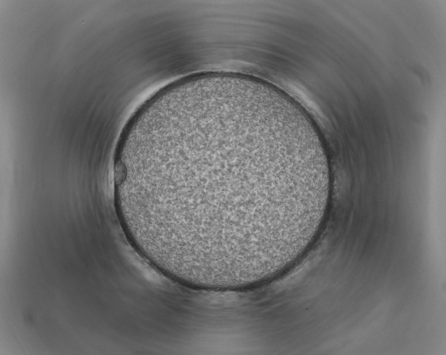 X0000113250940200910081316