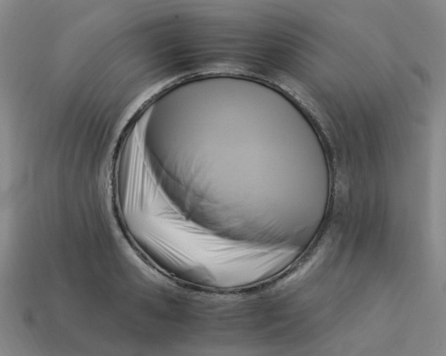 X0000113250941200910081316