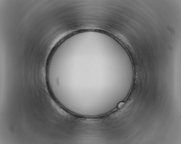 X0000113250942200910081316