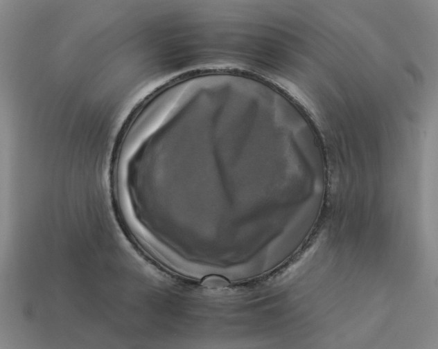 X0000113250943200910081316