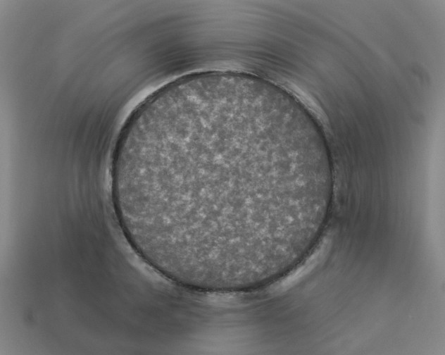 X0000113250944200910081316