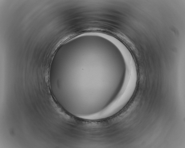 X0000113250945200910081316