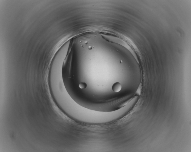 X0000113250946200910081316