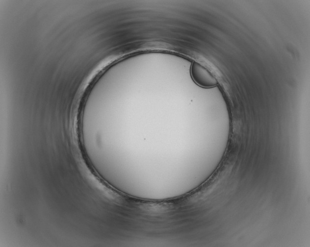 X0000113250947200910081316