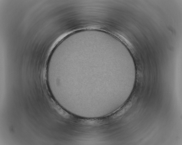 X0000113250948200910081316