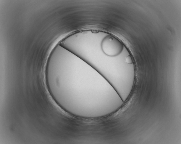 X0000113250949200910081316