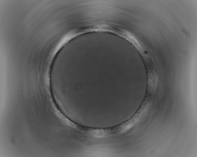 X0000113250950200910081316