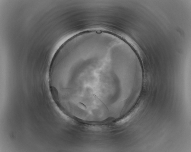 X0000113250951200910081316