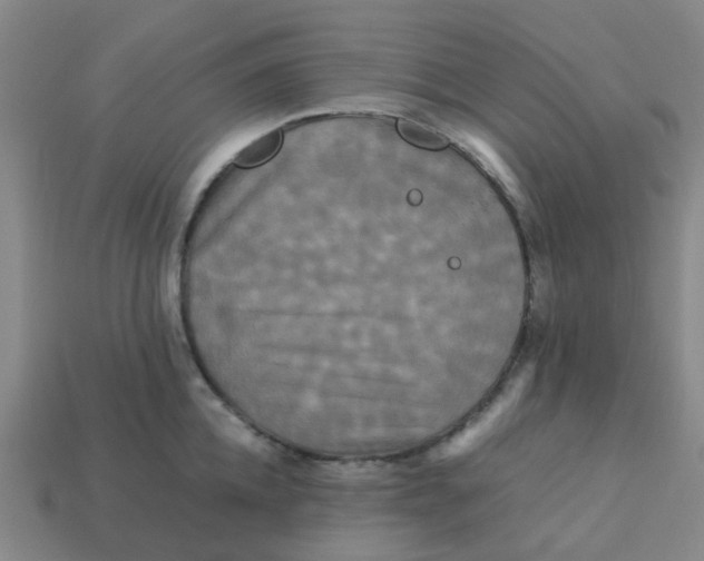 X0000113250952200910081316