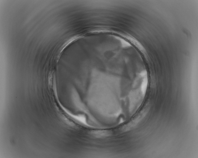 X0000113250953200910081316