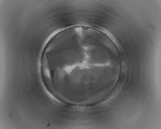 X0000113250955200910081316