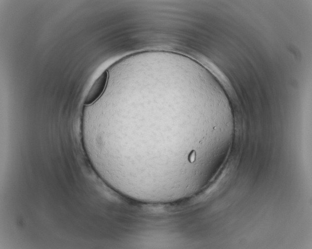 X0000113250956200910081316