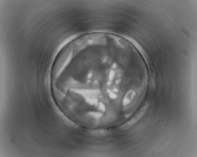 X0000113250957200910081316