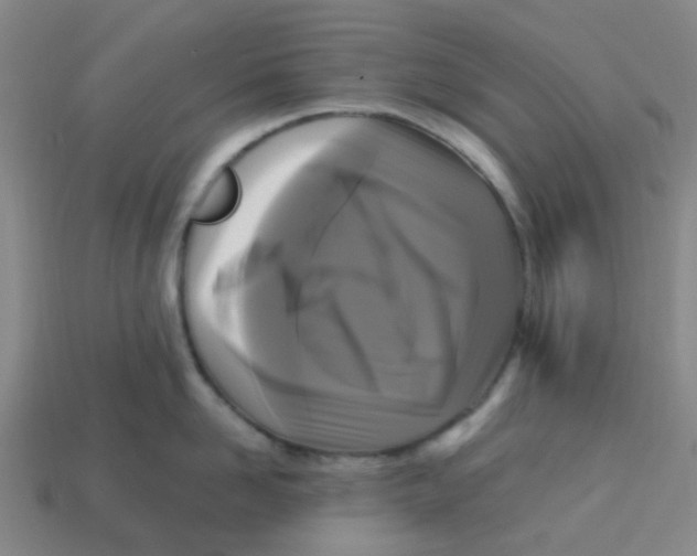 X0000113250958200910081316