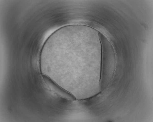 X0000113250960200910081316